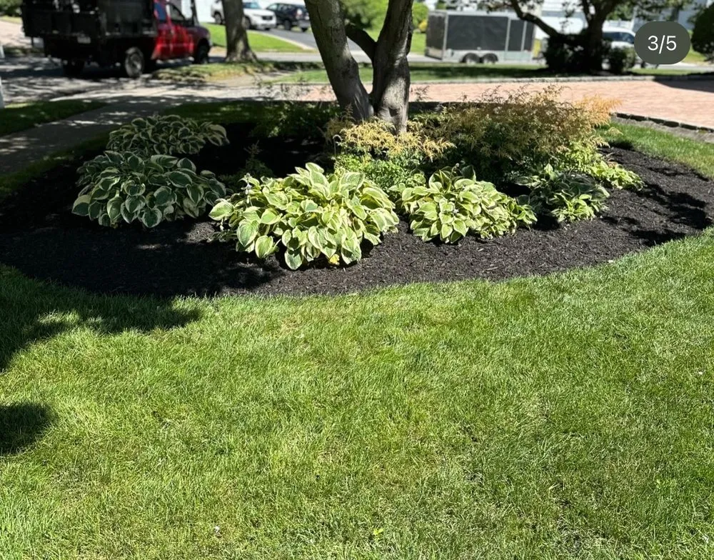 Reliable landscape design for outdoor upgrades across Smithtown, NY - MSM Landscape and Design