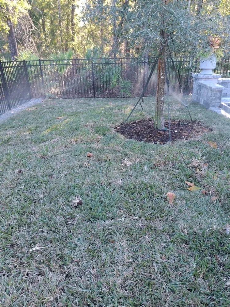 Affordable landscape installation experts serving Jacksonville, FL - MSM Landscape and Irrigation