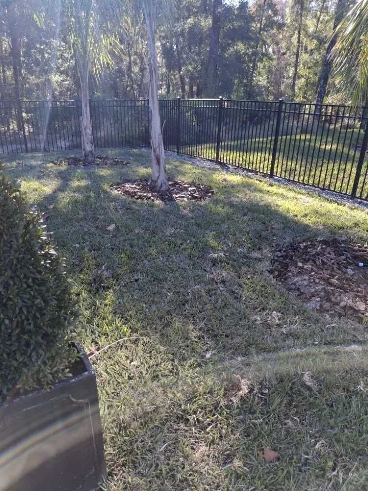 Expert yard maintenance in Jacksonville, FL by MSM Landscape and Irrigation