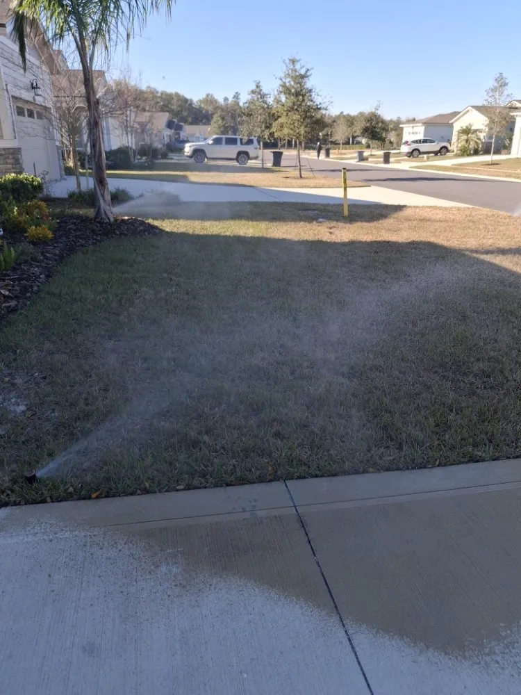 Reliable yard cleanup service experts serving Jacksonville, FL - MSM Landscape and Irrigation
