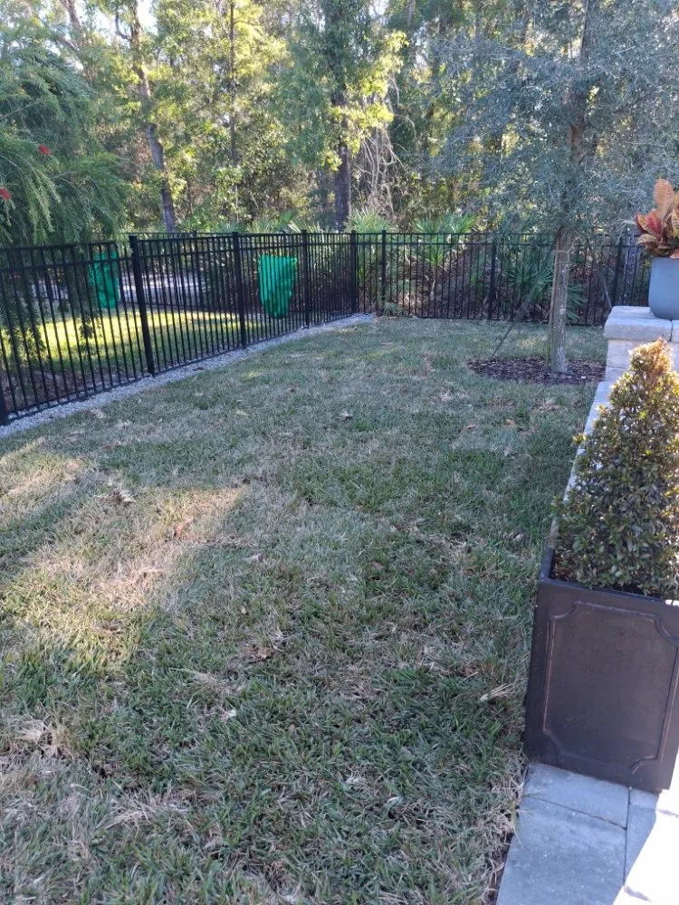 Affordable landscape installation in Jacksonville, FL by MSM Landscape and Irrigation