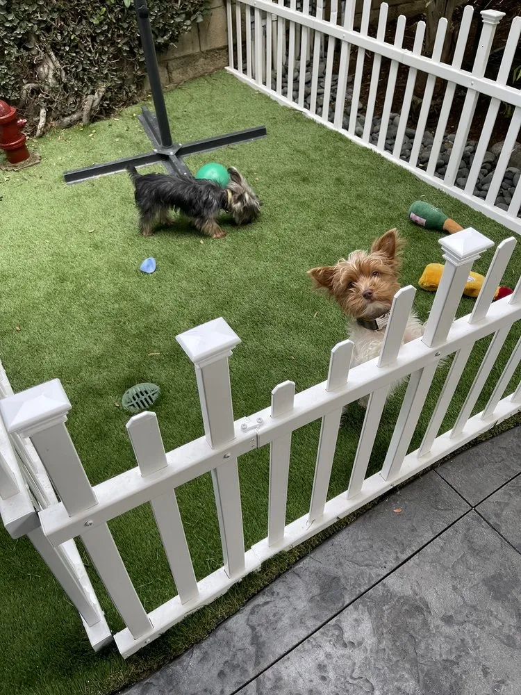 Top-rated yard cleanup service for beautiful yards in Whittier, CA by MSN Pool Plastering