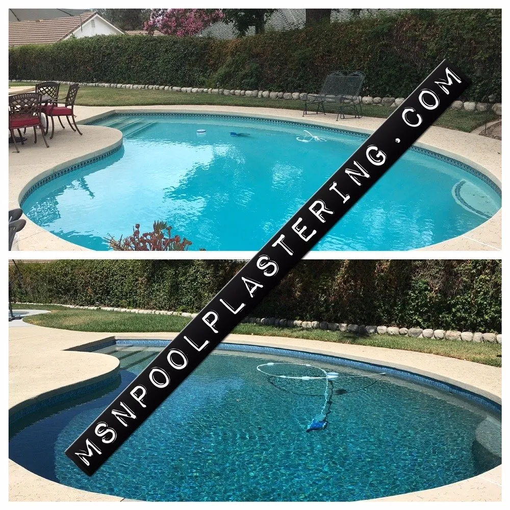 Custom yard cleanup service in Whittier, CA - MSN Pool Plastering