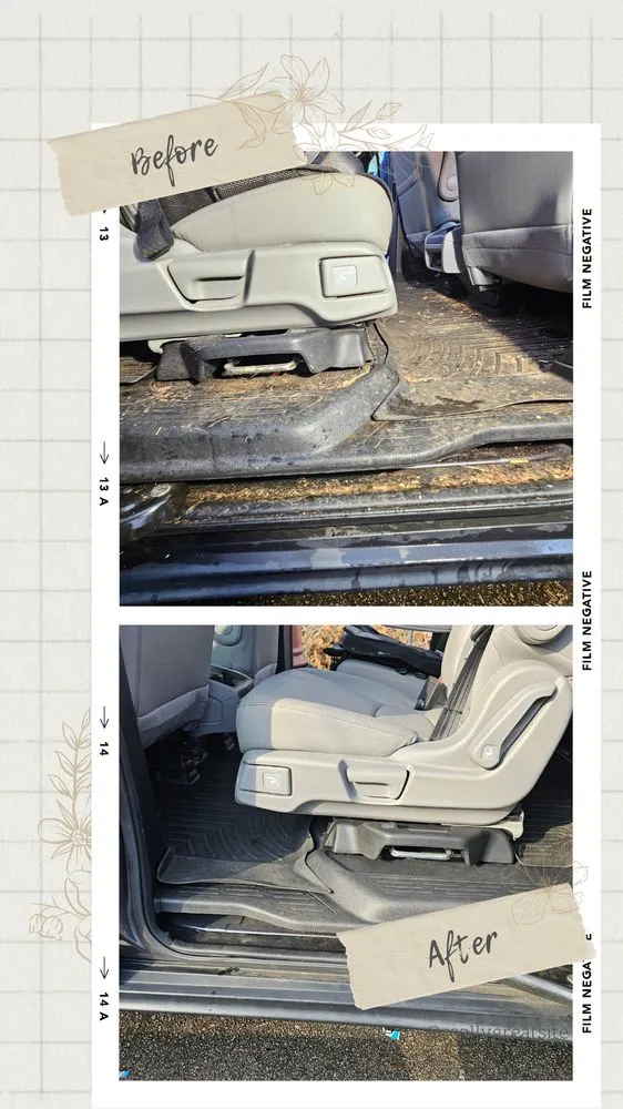 Reliable garden landscaping for outdoor upgrades in Atlanta, GA by MSPC Services