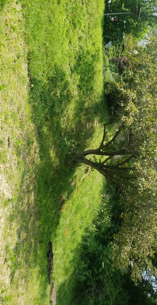 Top-rated yard maintenance for homes across Pittsburgh, PA - MSS Landscaping