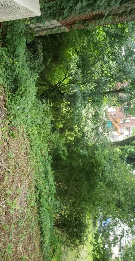 Trusted landscaping services for year-round maintenance across Pittsburgh, PA - MSS Landscaping