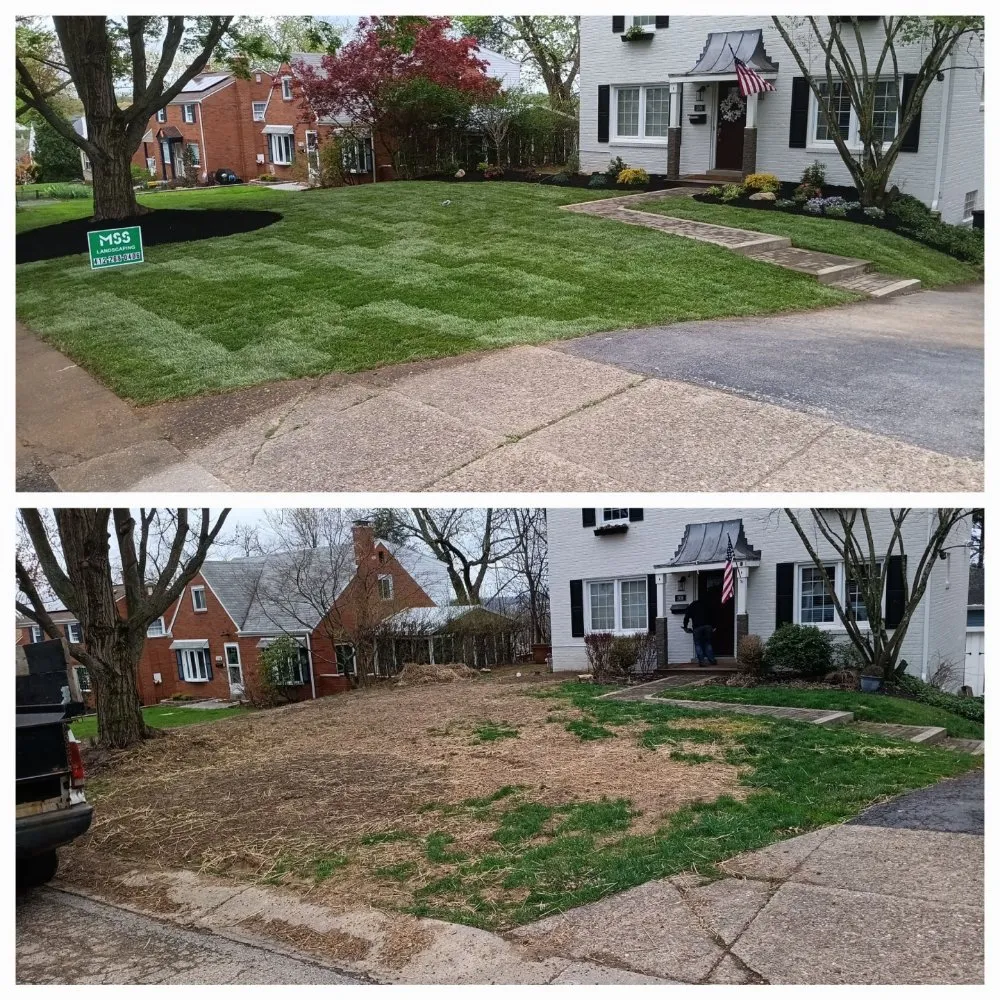 Professional outdoor landscaping for outdoor upgrades across Pittsburgh, PA - MSS Landscaping