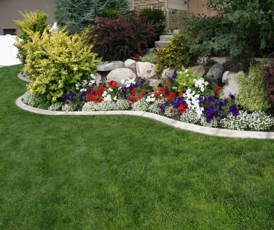 Reliable yard cleanup service in Mount Airy, NC - Mt Airy Lawn Care