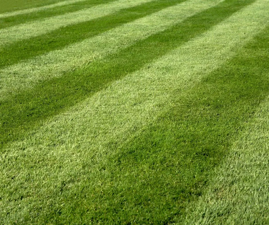 Affordable landscaping services for residential properties in Mount Airy, NC by Mt Airy Lawn Care