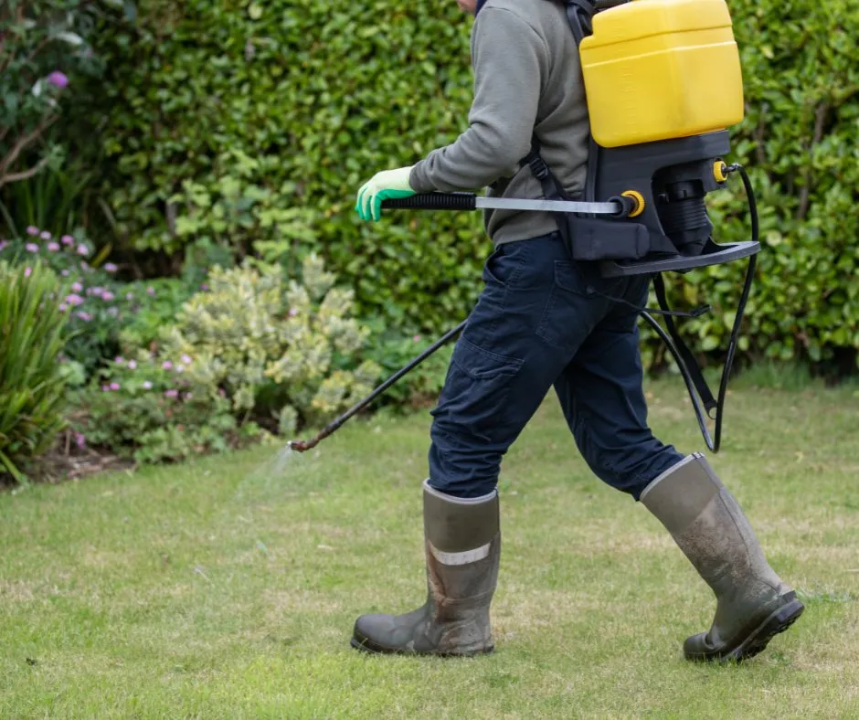 Reliable lawn care service with custom design in Mount Airy, NC by Mt Airy Lawn Care