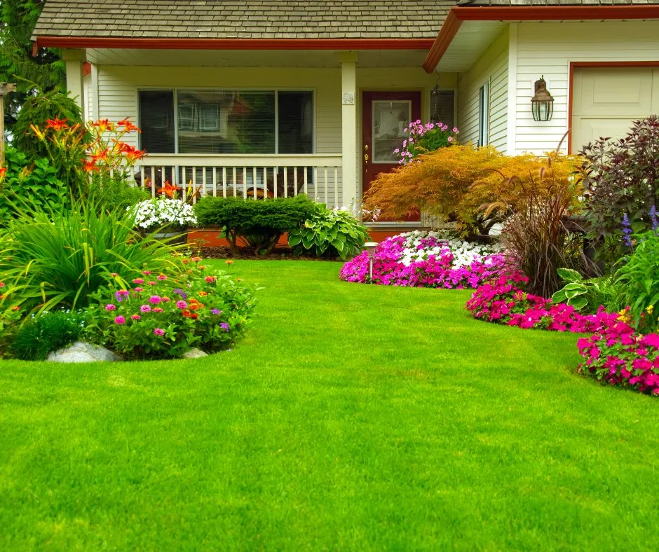 Trusted landscaping services experts serving Mount Airy, NC - Mt Airy Lawn Care