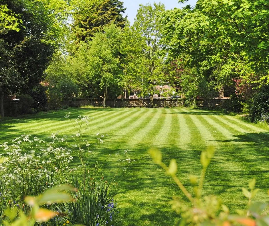 Expert lawn care service in Mount Airy, NC by Mt Airy Lawn Care