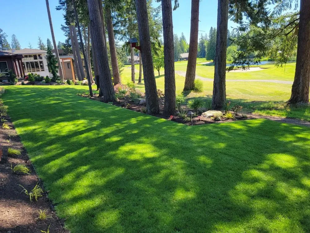 Expert yard maintenance experts serving Bellingham, WA - Mt. Baker Landworks