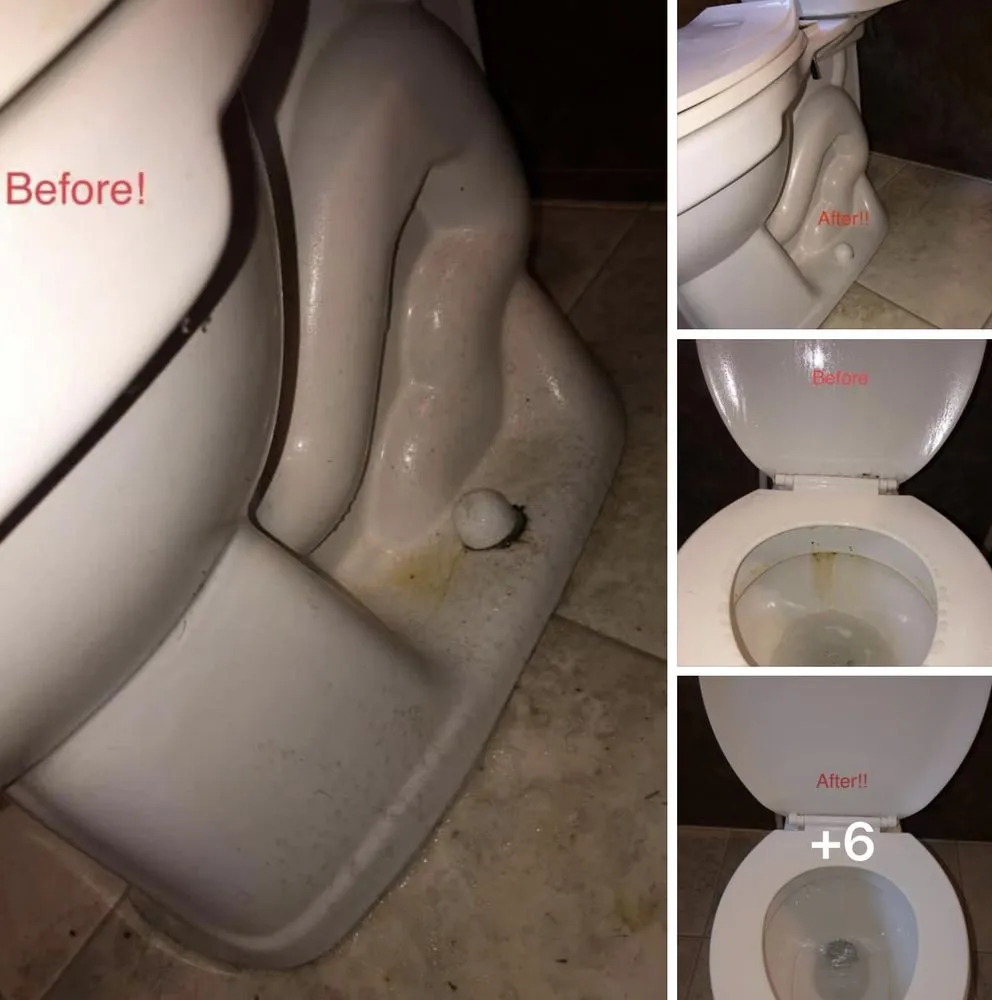 Expert yard maintenance in Greenwood, DE by M&T Cleaning Solutions And Property Maintenance