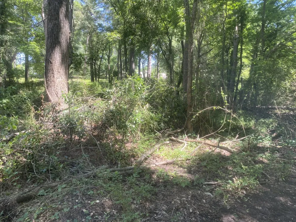 Top-rated lawn mowing service in Tyler, TX - M&T Crew