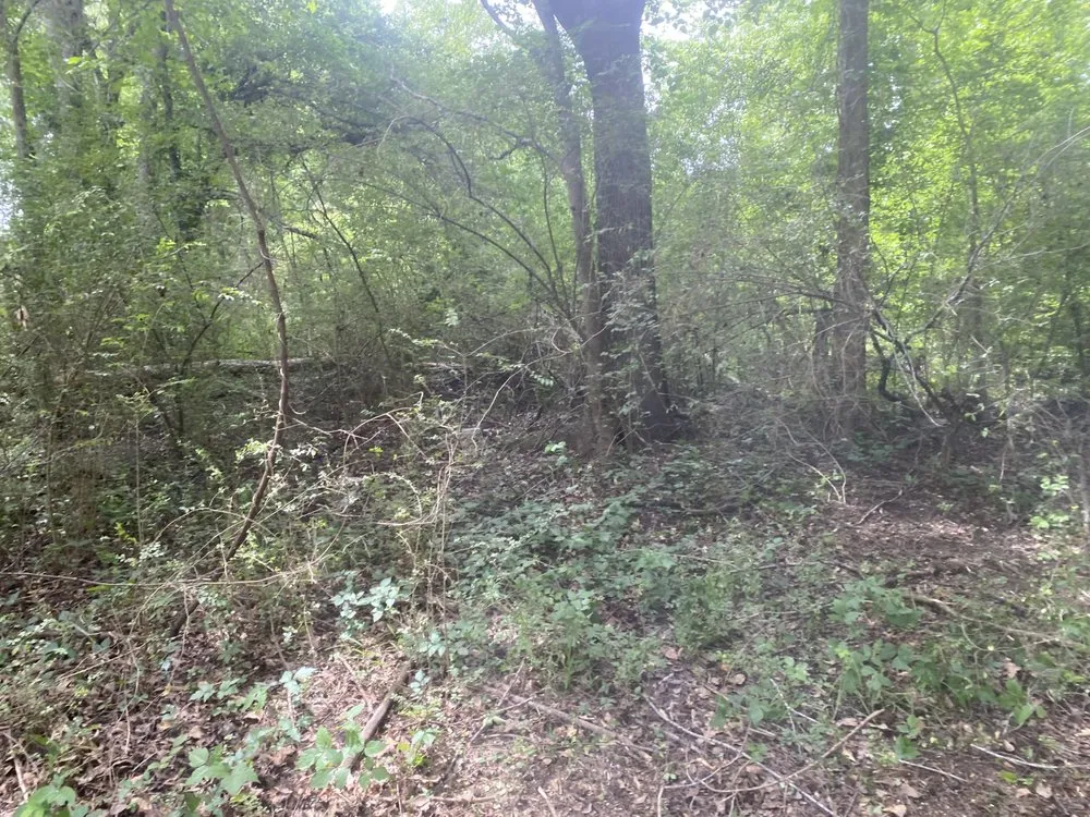 Top-rated yard maintenance for homes in Tyler, TX by M&T Crew