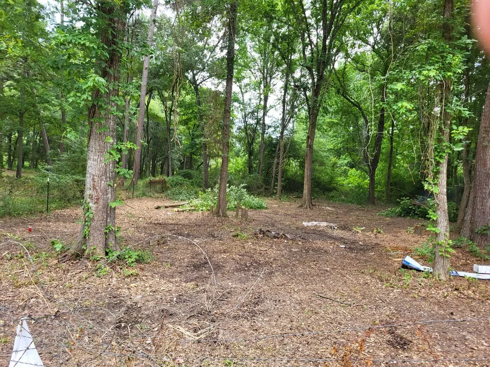 Local lawn care service with custom design in Tyler, TX by M&T Crew