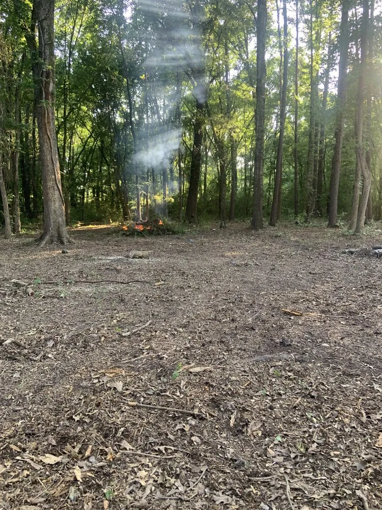 Local lawn mowing service experts serving Tyler, TX - M&T Crew