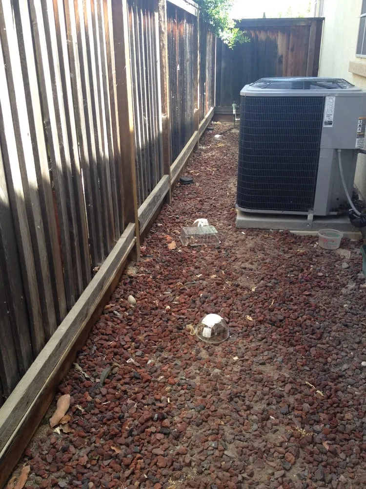 Reliable landscape design in Brentwood, CA - Mt Diablo Gardening