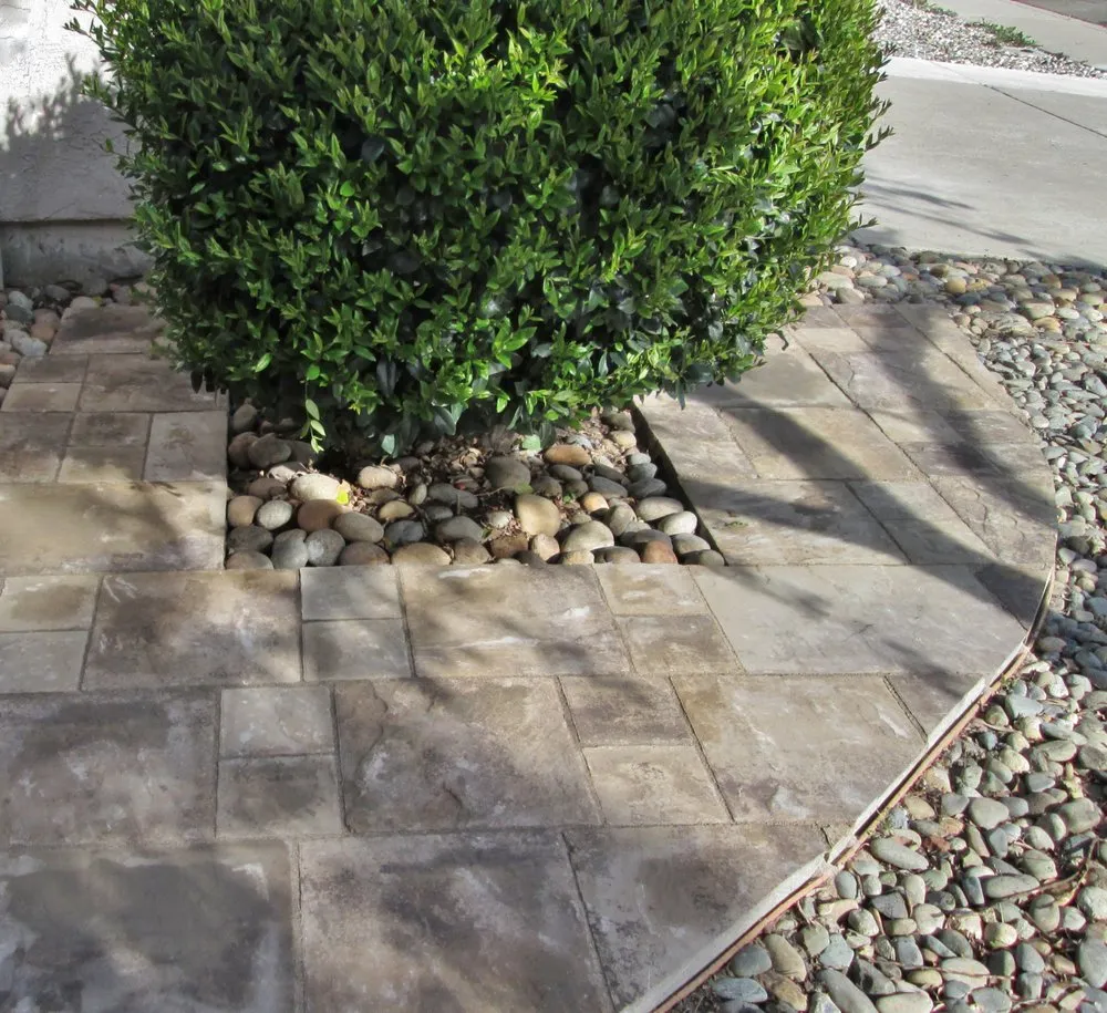 Expert lawn care service experts serving Brentwood, CA - Mt Diablo Gardening