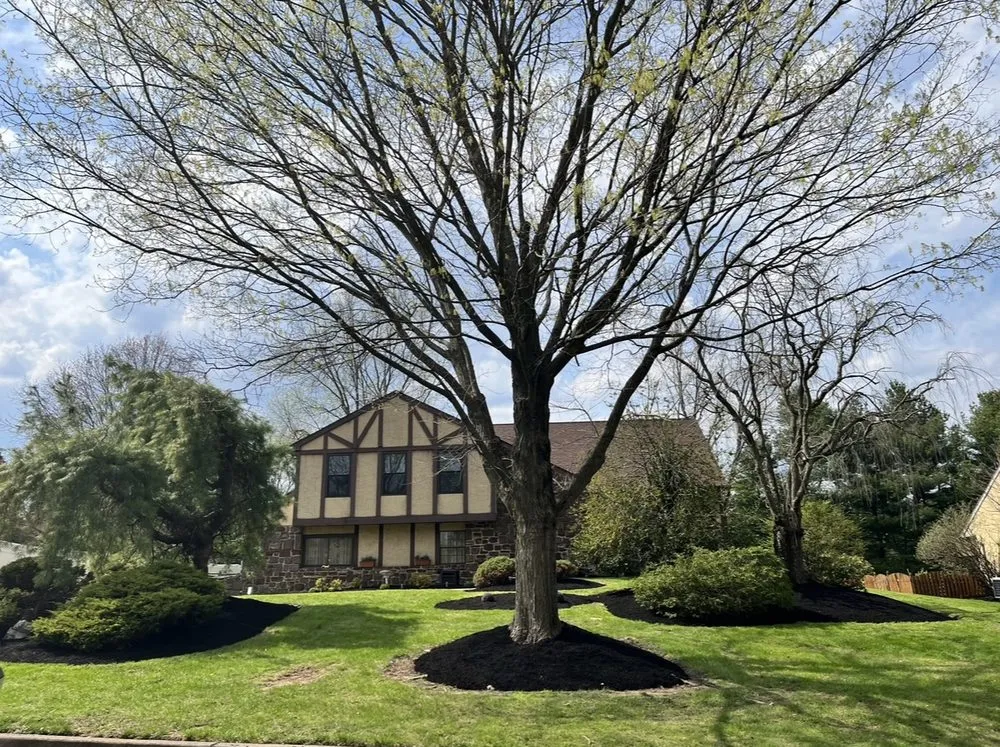 Professional lawn care service experts serving Jamison, PA - MT Exterior Solutions