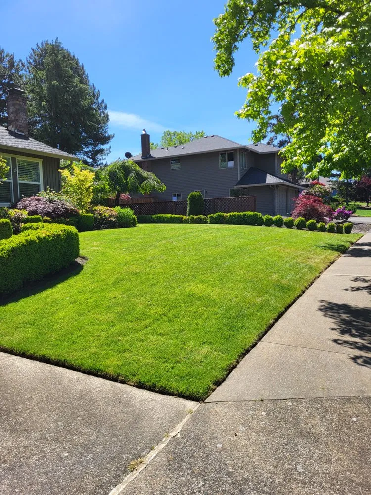 Affordable yard cleanup service near you across Boring, OR - Mt. Hood Mowing