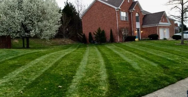 Reliable yard maintenance in Mt Juliet, TN - Mt Juliet Lawn Service