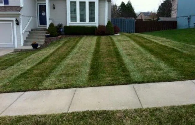 Trusted lawn care service in Mt Juliet, TN by Mt Juliet Lawn Service