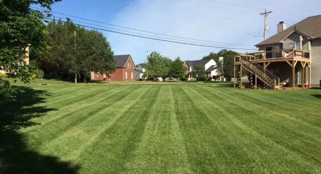 Custom yard maintenance in Mt Juliet, TN - Mt Juliet Lawn Service