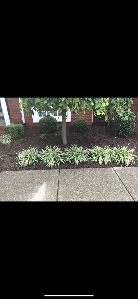 Affordable lawn mowing service for year-round maintenance in Mt Juliet, TN by Mt Juliet Lawn Service