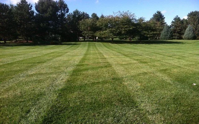 Reliable landscaping services in Mt Juliet, TN by Mt Juliet Lawn Service