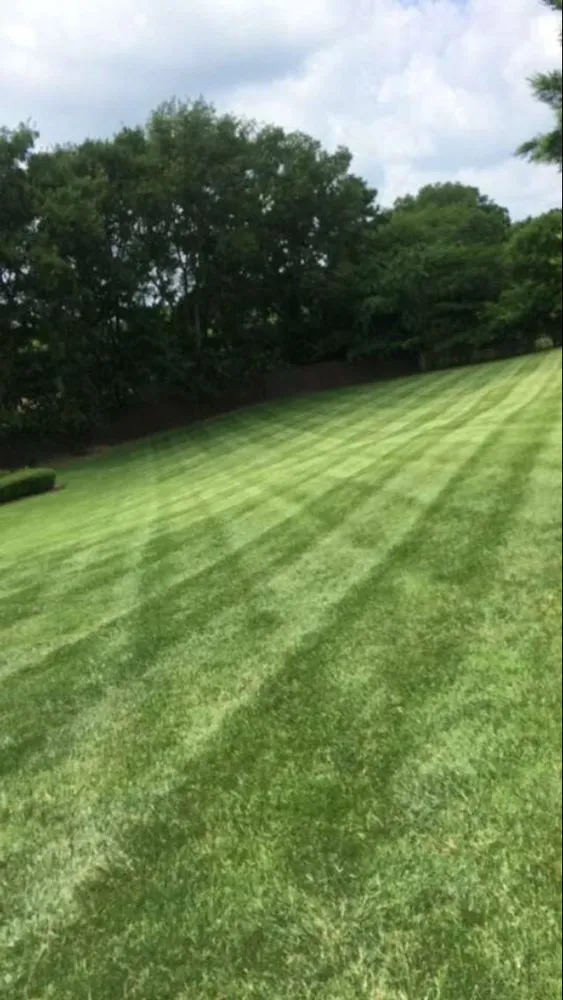 Local lawn care service experts serving Mt Juliet, TN - Mt Juliet Lawn Service