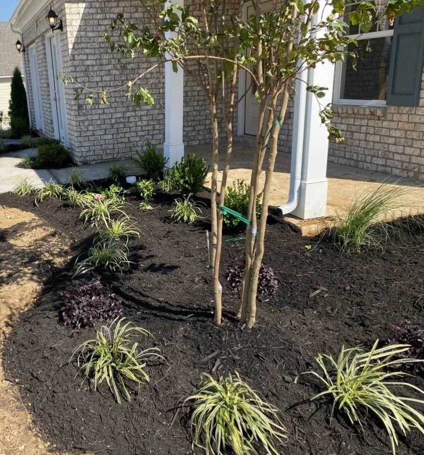 Reliable yard cleanup service for residential properties across Mt Juliet, TN - Mt Juliet Lawn Service