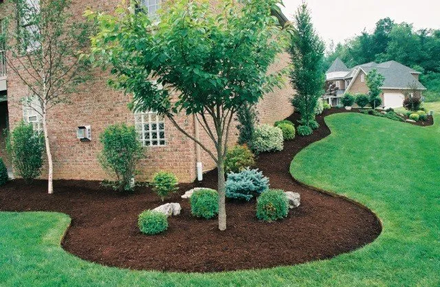 Top-rated yard cleanup service with custom design across Mt Juliet, TN - Mt Juliet Lawn Service