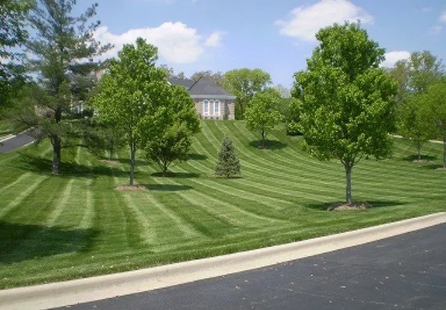 Local landscaping services experts serving Mt Juliet, TN - Mt Juliet Lawn Service