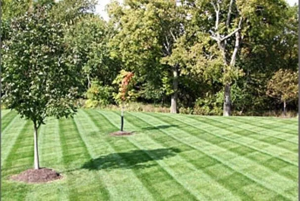 Affordable lawn mowing service for residential properties across Mt Juliet, TN - Mt Juliet Lawn Service