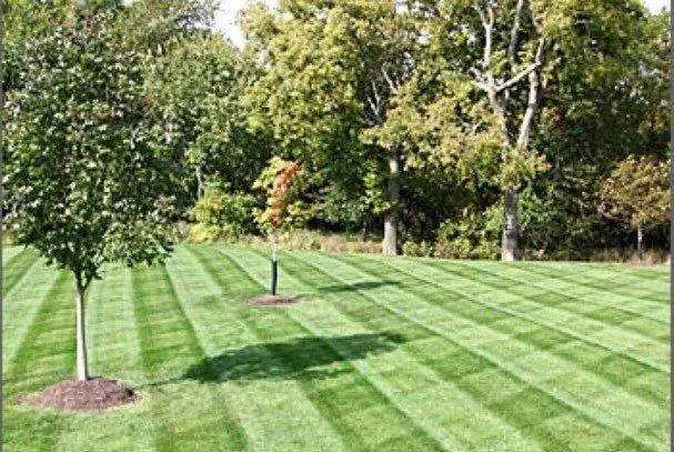 Reliable landscaping services with custom design in Mt Juliet, TN by Mt Juliet Lawn Service