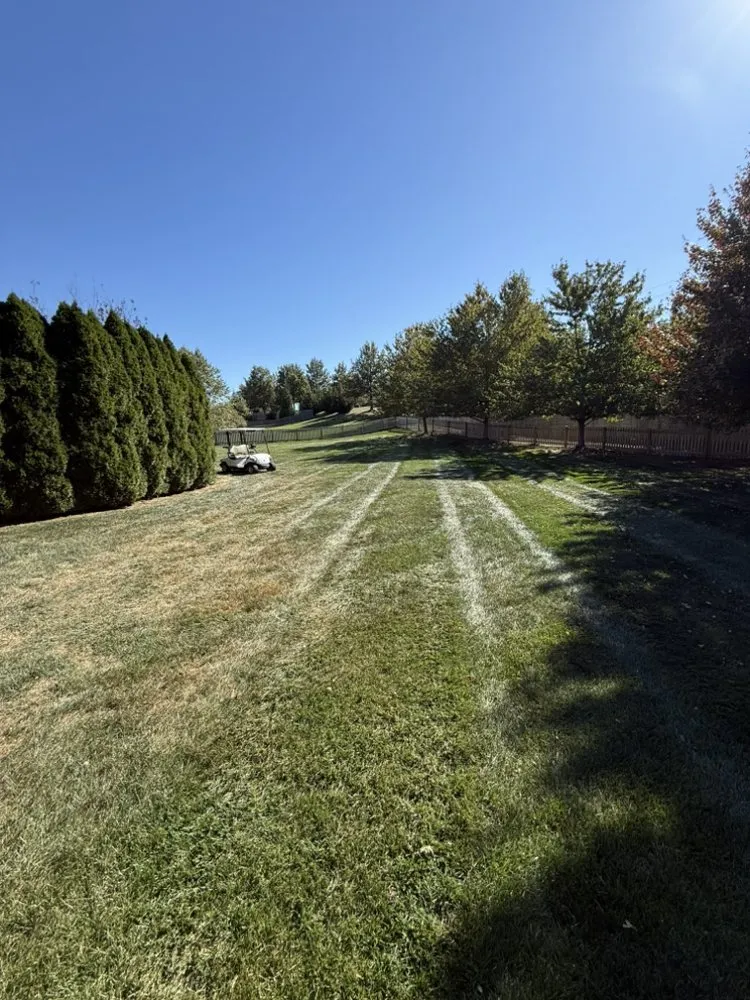 Local outdoor landscaping in Overland Park, KS - MT Landscapes