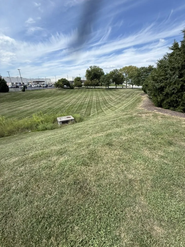 Professional yard cleanup service in Overland Park, KS - MT Landscapes