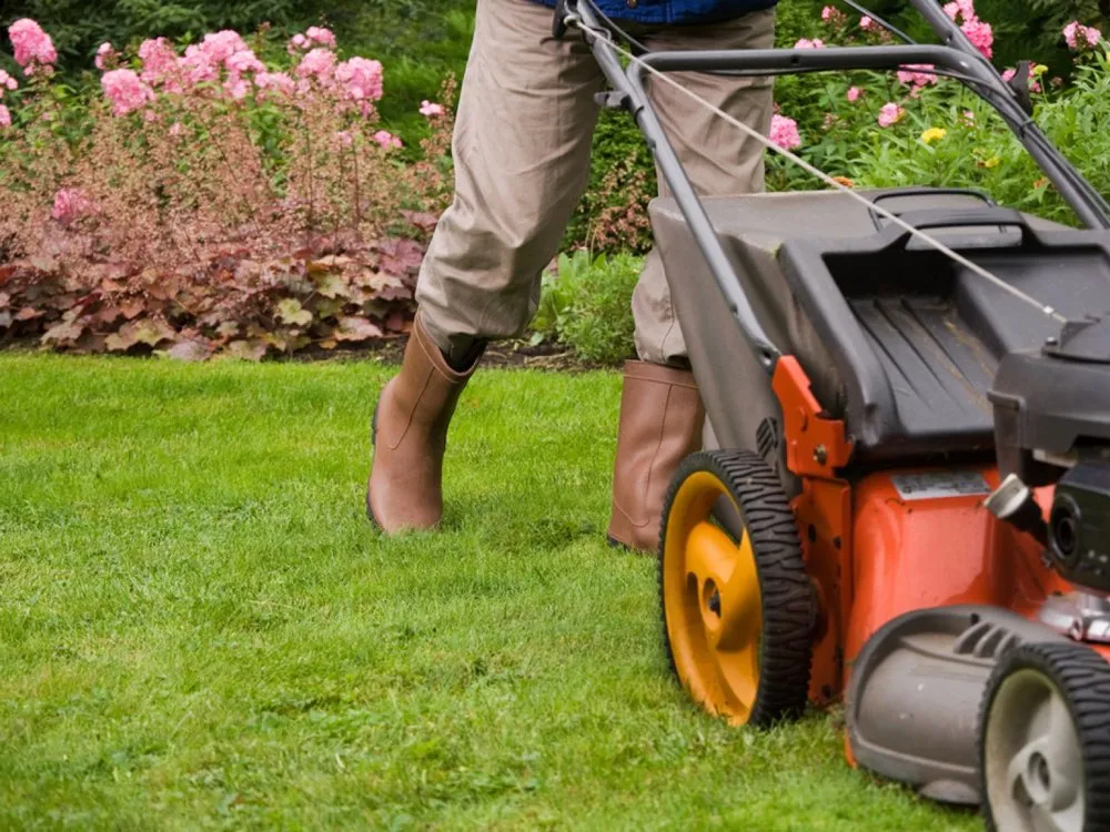 Expert yard cleanup service experts serving Coldwater, MS - M&T Landscaping and Development