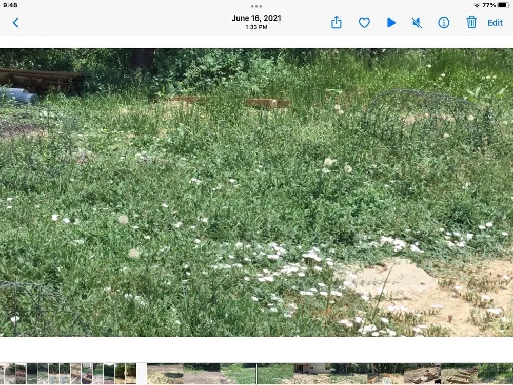 Expert lawn care service in Pueblo, CO - M&T Landscaping And Lawnservice