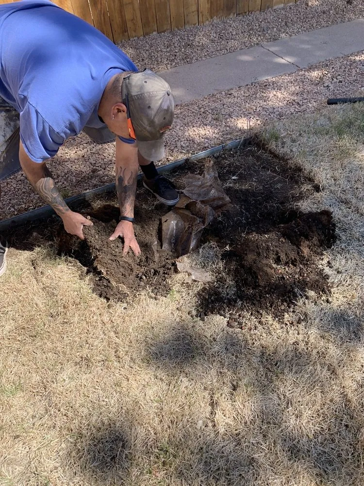 Expert lawn care service for homes across Pueblo, CO - M&T Landscaping And Lawnservice