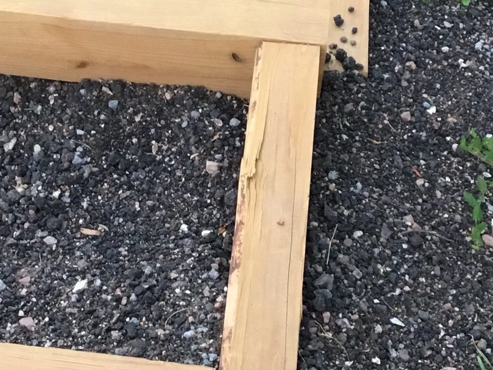 Custom yard maintenance for year-round maintenance across Pueblo, CO - M&T Landscaping And Lawnservice