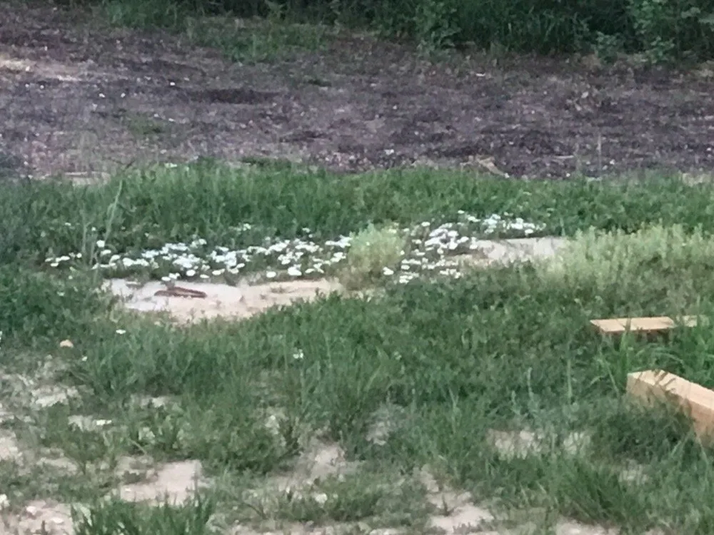 Expert yard cleanup service experts serving Pueblo, CO - M&T Landscaping And Lawnservice