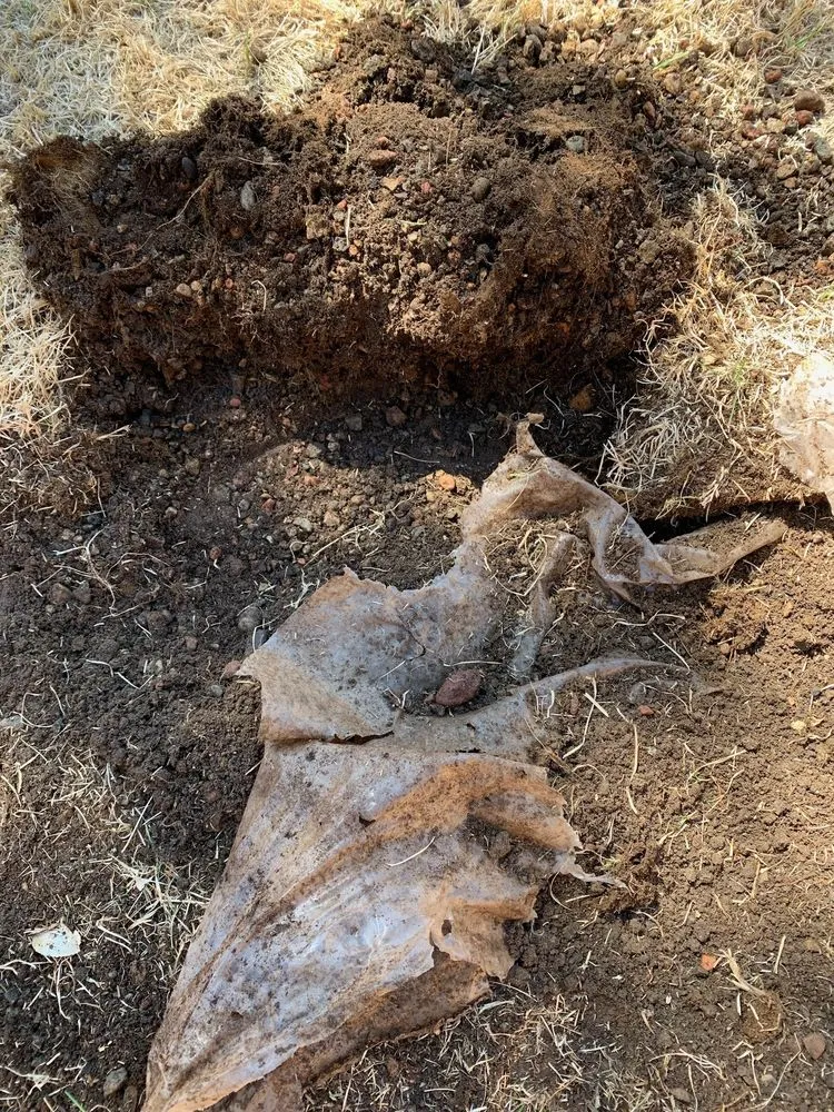 Top-rated lawn mowing service for homes across Pueblo, CO - M&T Landscaping And Lawnservice