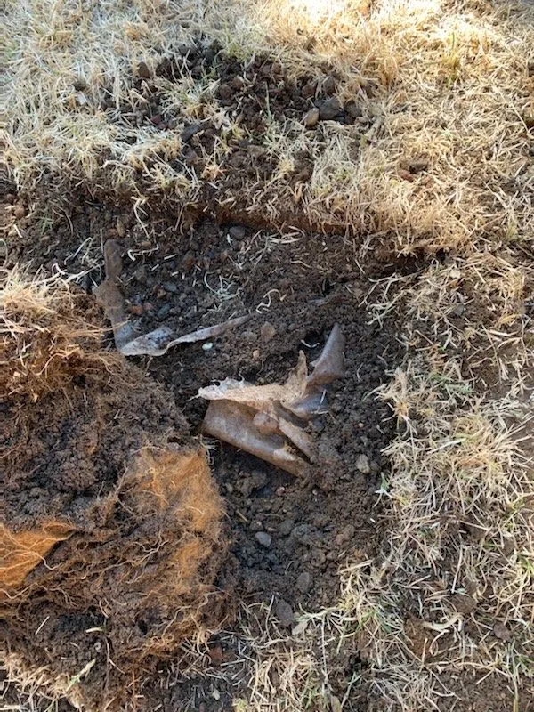 Expert yard maintenance experts serving Pueblo, CO - M&T Landscaping And Lawnservice