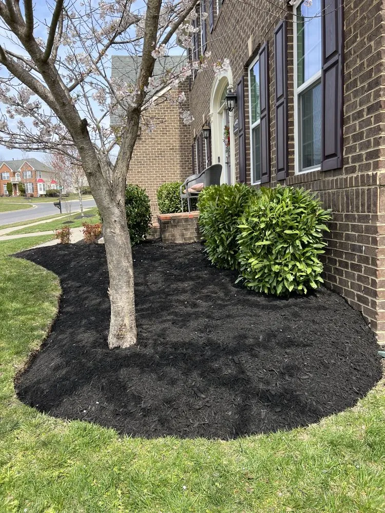 Expert outdoor landscaping for residential properties in Lothian, MD by MT Landscaping