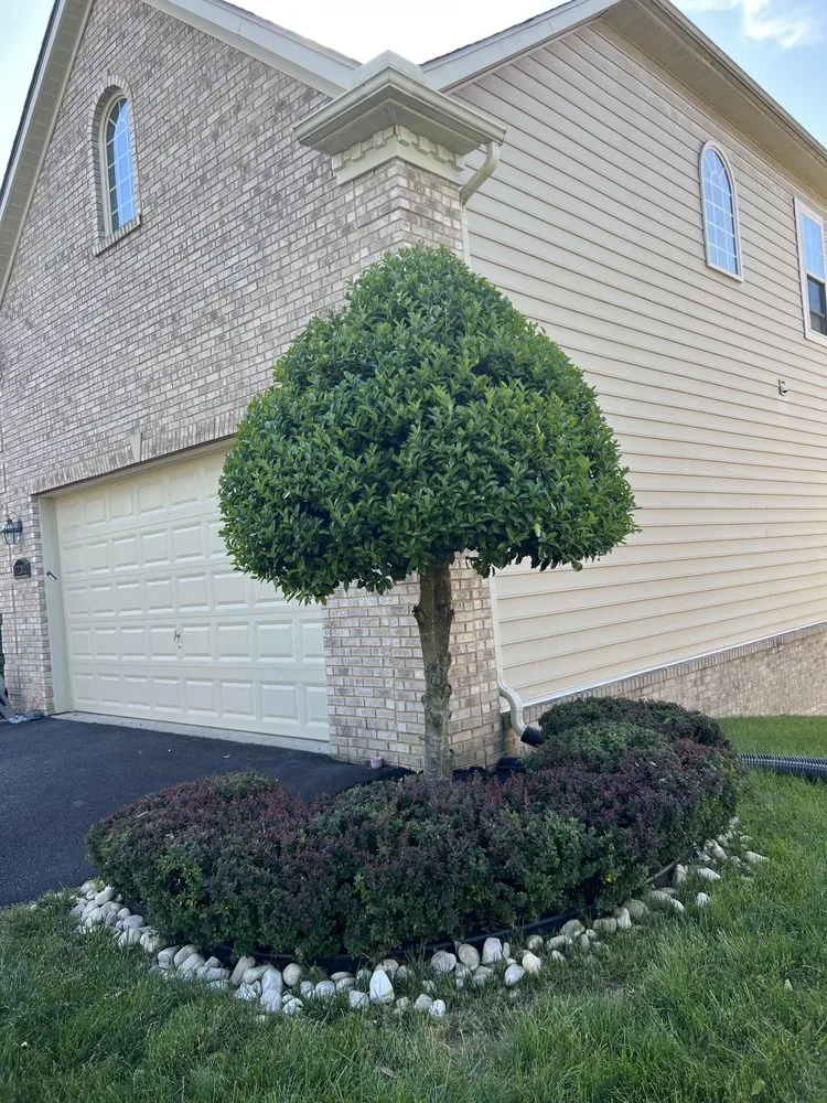 Custom garden landscaping for residential properties in Lothian, MD by MT Landscaping