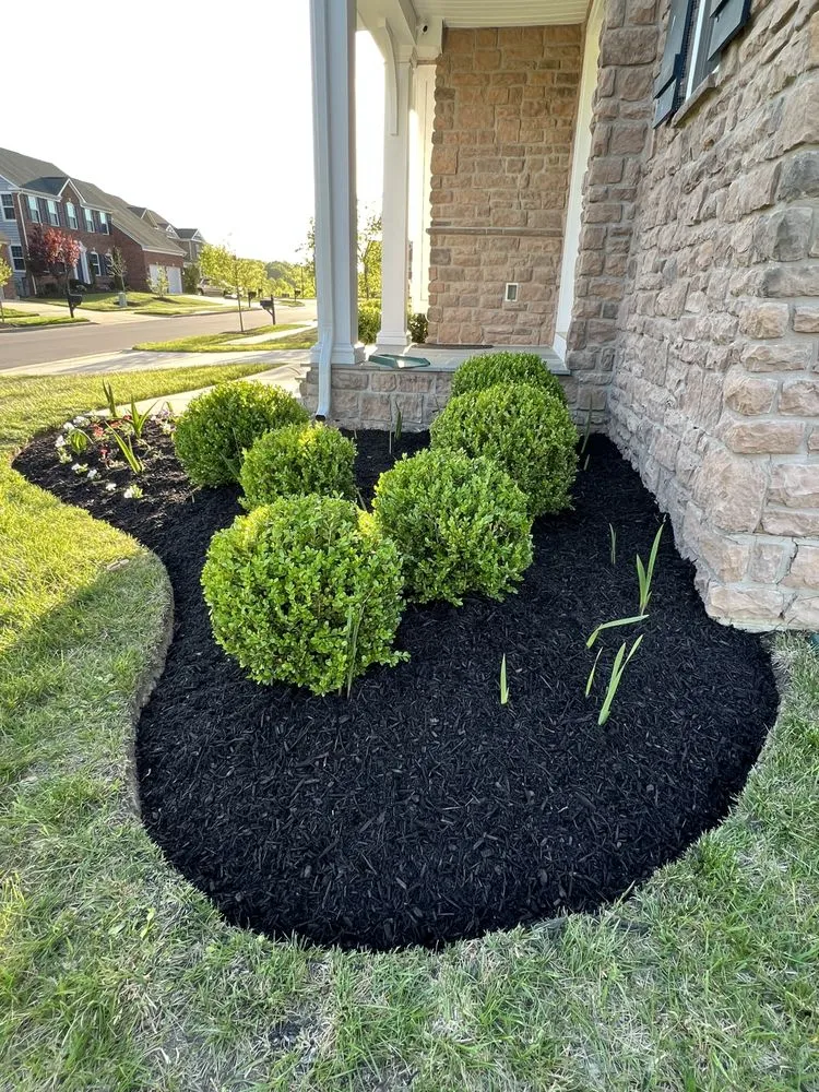 Reliable lawn care service for beautiful yards in Lothian, MD by MT Landscaping