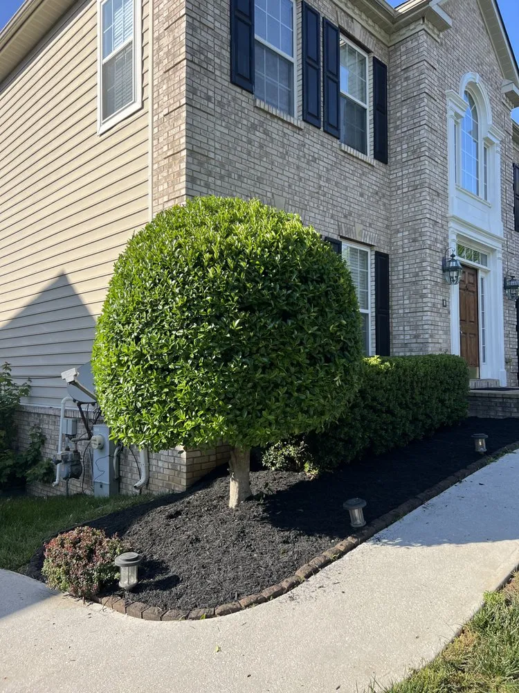 Trusted lawn mowing service for year-round maintenance across Lothian, MD - MT Landscaping